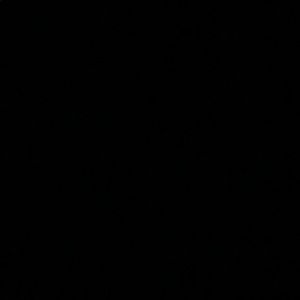 Meet your Posher, Kaylee